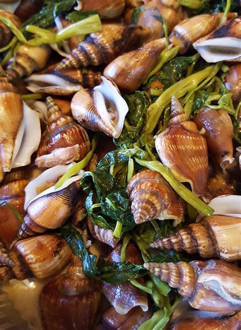 sikat sikat shell|Sikad.